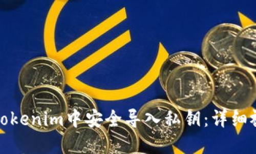 如何在Tokenim中安全导入私钥：详细视频教程