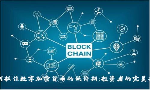 如何抓住数字加密货币的低价期：投资者的完美指南