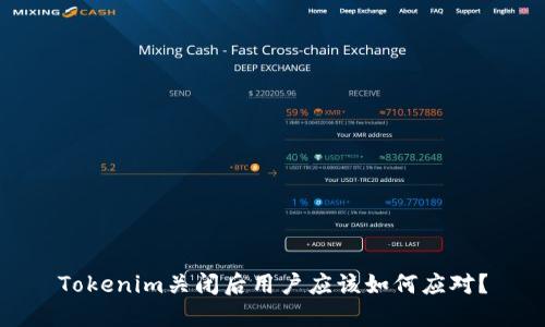 Tokenim关闭后用户应该如何应对？