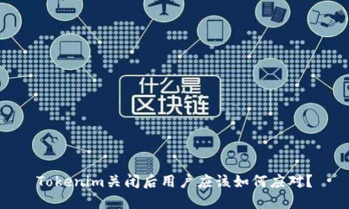 Tokenim关闭后用户应该如何应对？