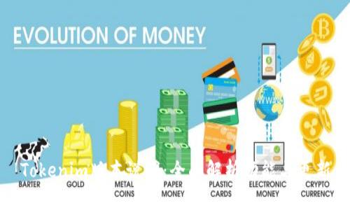 Tokenim版本说明：全面解析功能与更新