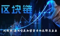 比特币：为何它是加密货