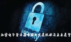 加密电子货币在中国的发