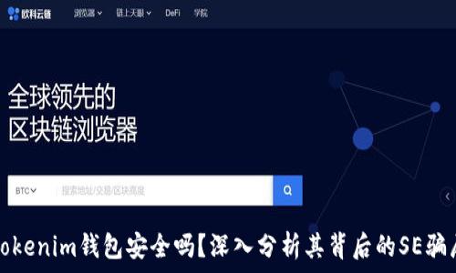   
Tokenim钱包安全吗？深入分析其背后的SE骗局