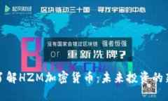 深入了解HZM加密货币：未