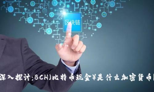 深入探讨：BCH（比特币现金）是什么加密货币？
