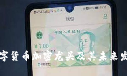 中国数字货币加密龙头及其未来发展趋势