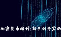 全面解析加密货币培训：新手到专家的进阶之路