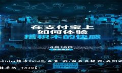 好的，下面是关于“tokenim转币txid怎么查”的、相