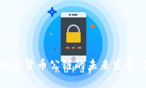 央行加密货币公链的未来发展与挑战
