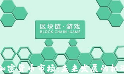 
普京与加密货币市场：未来发展的机遇与挑战