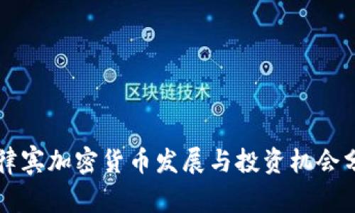 菲律宾加密货币发展与投资机会分析