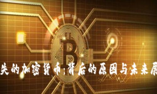 消失的加密货币：背后的原因与未来展望