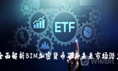 全面解析BIM加密货币及其