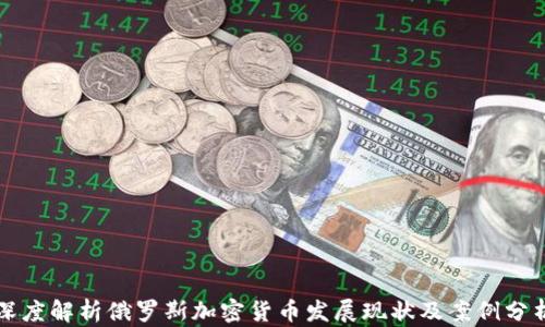 
深度解析俄罗斯加密货币发展现状及案例分析