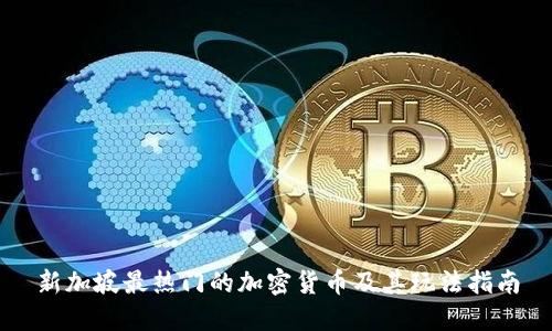 新加坡最热门的加密货币及其玩法指南
