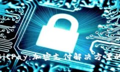 Tokenim与BitPay：加密支付解