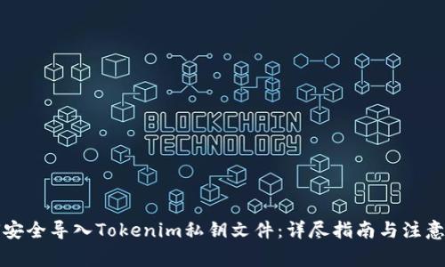 如何安全导入Tokenim私钥文件：详尽指南与注意事项