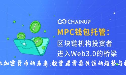 投机加密货币的未来：投资者需要关注的趋势与挑战