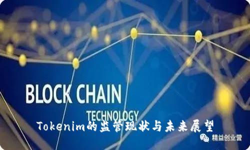 Tokenim的监管现状与未来展望