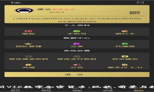 全面解析VIC数字加密货币：现状、前景与投资策略