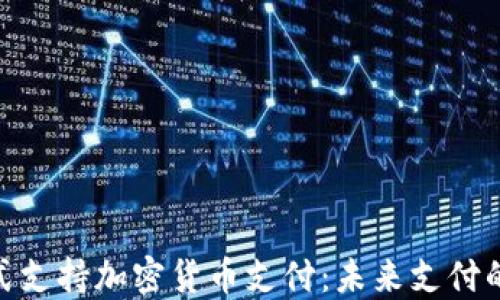 
Visa正式支持加密货币支付：未来支付的新趋势