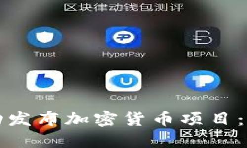 如何成功发布加密货币项目：完整指南