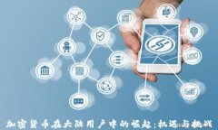 加密货币在大陆用户中的