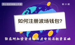 张磊对加密货币的深度分析与投资策略