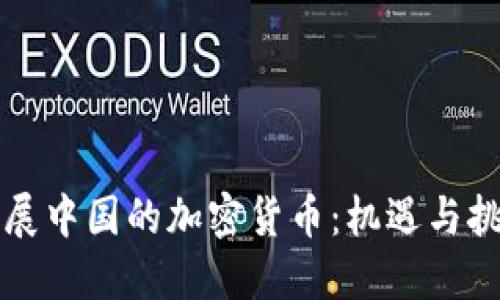 发展中国的加密货币：机遇与挑战
