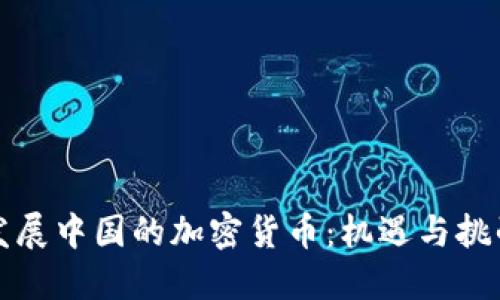 发展中国的加密货币：机遇与挑战