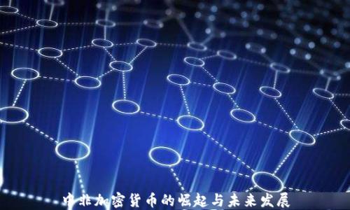 
中非加密货币的崛起与未来发展