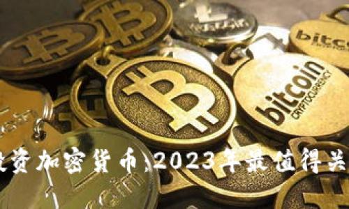 如何用20美元投资加密货币：2023年最值得关注的项目与策略