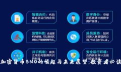 加密货币BMO的崛起与未来