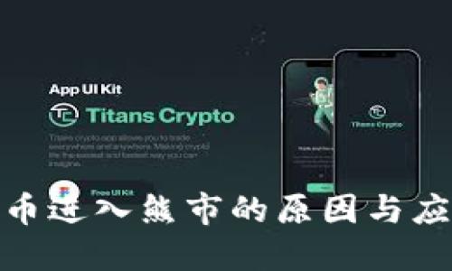 加密货币进入熊市的原因与应对策略