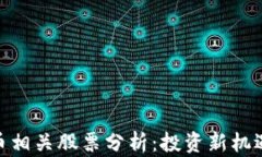 加密货币相关股票分析：投资新机遇与风险