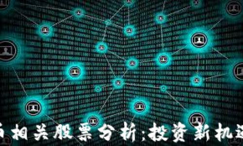 
加密货币相关股票分析：投资新机遇与风险