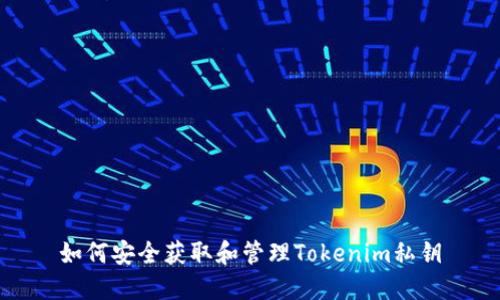 如何安全获取和管理Tokenim私钥