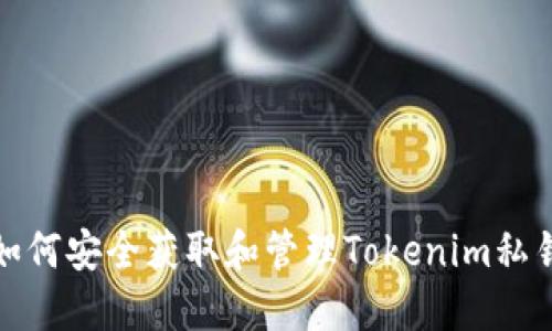 如何安全获取和管理Tokenim私钥