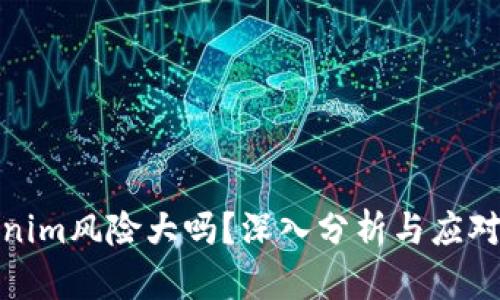 Tokenim风险大吗？深入分析与应对策略
