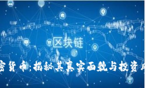 加密货币：揭秘其真实面貌与投资风险