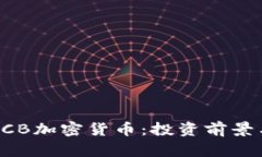 深入了解CCB加密货币：投资前景与市场分析