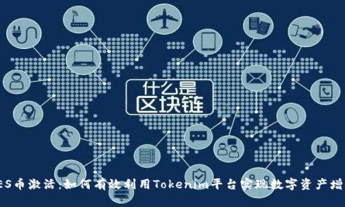 LES币激活：如何有效利用Tokenim平台实现数字资产增值