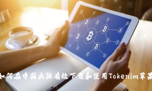 : 如何在中国大陆有效下载和使用Tokenim苹果版