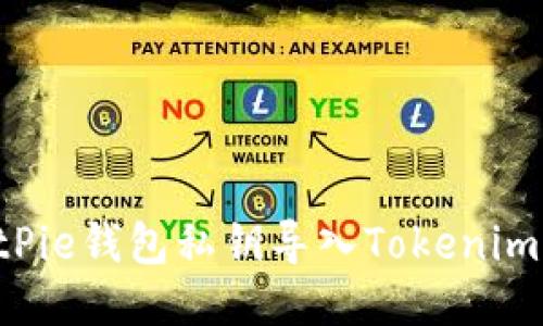 如何将BitPie钱包私钥导入Tokenim：详细指南