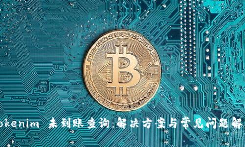 Tokenim 未到账查询：解决方案与常见问题解析