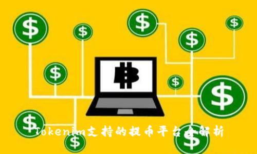 Tokenim支持的提币平台全解析
